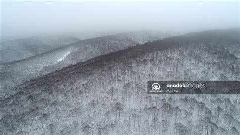 Kırklareli'nde karla kaplanan Istranca Ormanları havadan görüntülendi